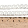 Electroplated Shell Pearl Beads Strands BSHE-H113-04C-4