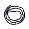 Transparent Glass Beads Strands GLAA-C019-01A-04-2