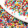 8/0 Glass Seed Beads SEED-T005-12B-1