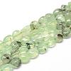 Natural Prehnite Beads Strands G-R445-8x10-25-1