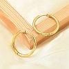 PVD Vacuum Plating 304 Stainless Steel Huggie Hoop Earrings for Women EJEW-F280-07H-G-2