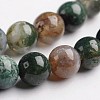 Round Natural Indian Agate Gemstone Bead Strands G-J333-07-6mm-1