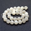 Natural White Moonstone Beads Strands G-P342-02A-12mm-AB-2