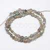 Natural Labradorite Beads Strands G-F521-42-2