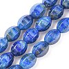 Natural Lapis Lazuli Beads Strands G-K311-09B-4