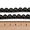 Natural Seraphinite Beads Strands G-H337-A03-04-5