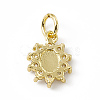 Brass Micro Pave Cubic Zirconia Charms ZIRC-F132-36G-2