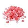 Acrylic Beads OACR-C020-02G-1