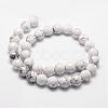 Natural Howlite Beads Strands G-D840-44-6mm-2