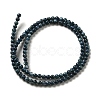 Natural Freshwater Shell Beads Strands X-SHEL-H003-03C-2