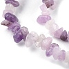 Natural Lepidolite/Purple Mica Stone Beads Strands G-G0003-B07-4