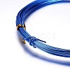 Round Aluminum Craft Wire AW-D009-1mm-10m-09-2