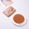 8/0 Glass Seed Beads SEED-A006-3mm-109-5