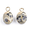 Electroplate Natural Dalmatian Jasper Charms X-G-S344-09C-2