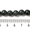 Natural Black Jade Beads Strands G-H067-A03-6MM-5