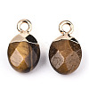 Natural Tiger Eye Charms X-G-N326-58C-3