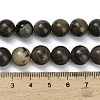 Natural Volcanic Agate Beads Strands G-G305-A01-10mm-5