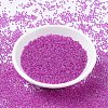 MIYUKI Round Rocailles Beads SEED-X0054-RR0209-2