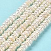 Natural Cultured Freshwater Pearl Beads Strands PEAR-J007-21-2