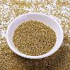 MIYUKI Delica Beads SEED-X0054-DB1832-2