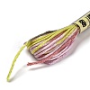 10 Skeins 6-Ply Polyester Embroidery Floss OCOR-K006-A43-2