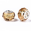 Transparent Resin European Beads LS-RPDL-T003-003-B09-2