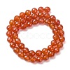 Natural Carnelian Beads Strands G-C280-B10-8mm-10
