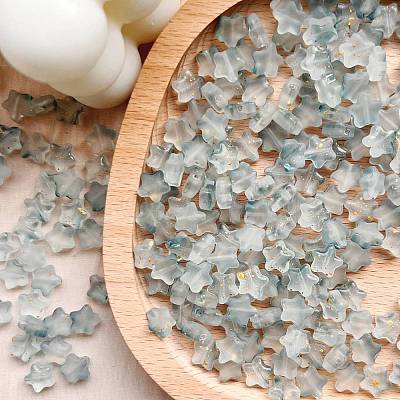 30Pcs Frosted Glass Beads PW-WGAB1F9-04-1