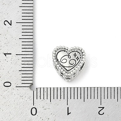 925 Sterling Silver European Beads STER-R005-02AS-04-1