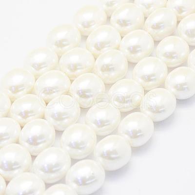 Shell Pearl Beads Strands BSHE-P024-15-1