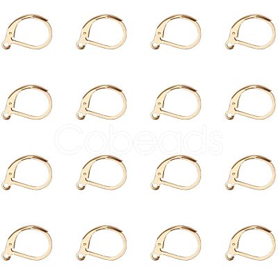 304 Stainless Steel Leverback Earring Findings STAS-PH0018-28G-1
