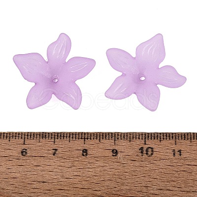Translucent Acrylic Beads FACR-5335-6-1