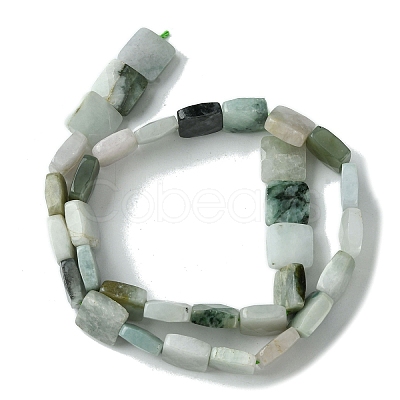 Natural Myanmar Jadeite Beads Strands G-A092-C01-03-1