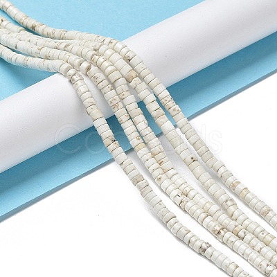Natural Howlite Beads Strands G-E604-A01-B-1