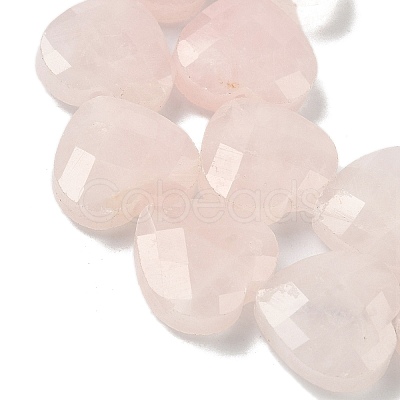 Natural Rose Quartz Beads Strands G-A309-A05-01-1