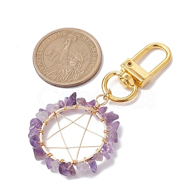 Gemstone Pendants Keychain HJEW-JM01811-1
