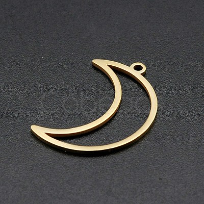 Ion Plating(IP) 201 Stainless Steel Pendants STAS-R111-LA137-1
