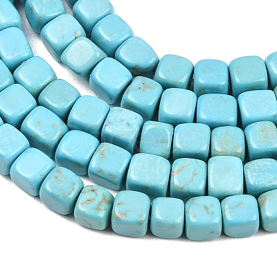 Natural Magnesite Beads Strands G-Z143-C01-01-1