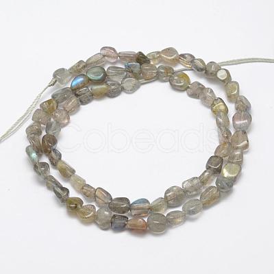 Natural Labradorite Beads Strands G-F521-42-1