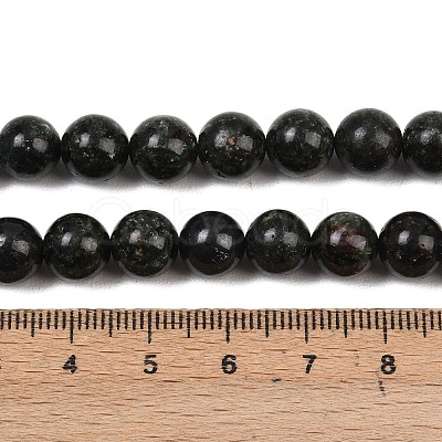 Natural Seraphinite Beads Strands G-H337-A03-04-1