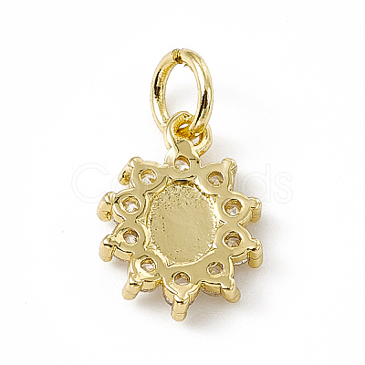 Brass Micro Pave Cubic Zirconia Charms ZIRC-F132-36G-1