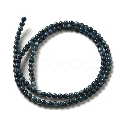 Natural Freshwater Shell Beads Strands X-SHEL-H003-03C-1