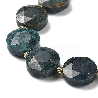 Natural Apatite Beads Strands G-C116-A159-03-1