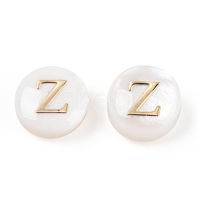 Natural Freshwater Shell Beads SHEL-N036-01Z-1