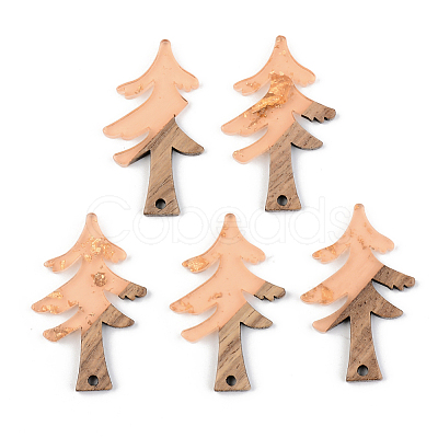 Transparent Resin & Walnut Wood Pendants RESI-S389-008A-B04-1