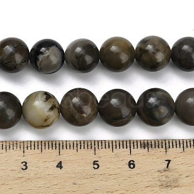 Natural Volcanic Agate Beads Strands G-G305-A01-10mm-1