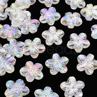 Transparent Acrylic Beads TACR-S154-45C-205-1
