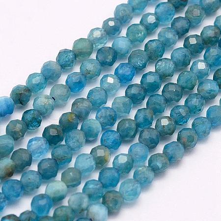 Natural Apatite Beads Strands G-F509-17-4mm-1