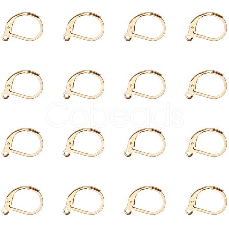 304 Stainless Steel Leverback Earring Findings STAS-PH0018-28G-1