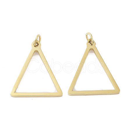 Ion Plating(IP) 304 Stainless Steel Pendants LS-STAS-G324-01D-G-1